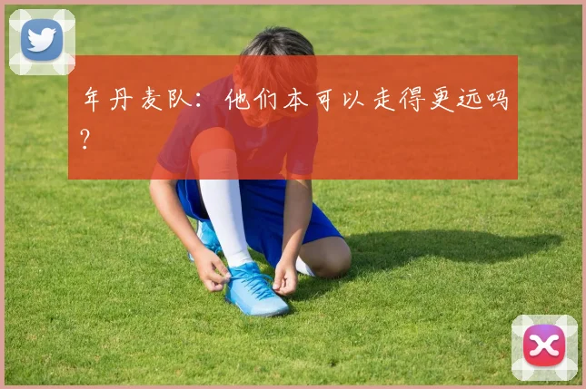 年丹麦队：他们本可以走得更远吗？