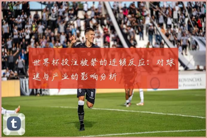 世界杯投注被禁的连锁反应：对球迷与产业的影响分析