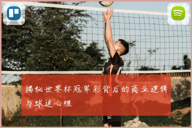揭秘世界杯冠军彩背后的商业逻辑与球迷心理