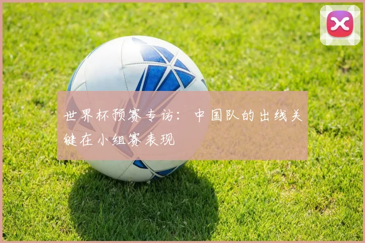 世界杯预赛专访：中国队的出线关键在小组赛表现