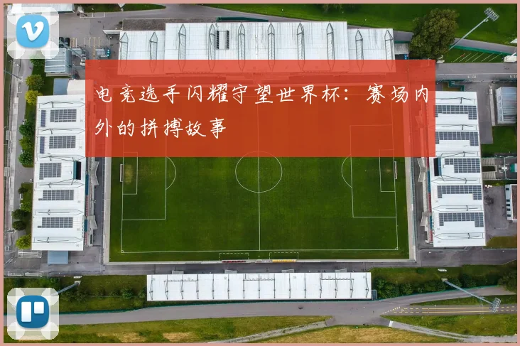 电竞选手闪耀守望世界杯：赛场内外的拼搏故事