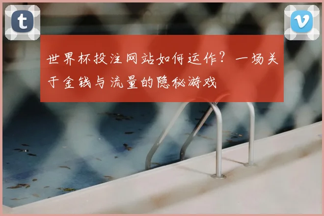 世界杯投注网站如何运作？一场关于金钱与流量的隐秘游戏